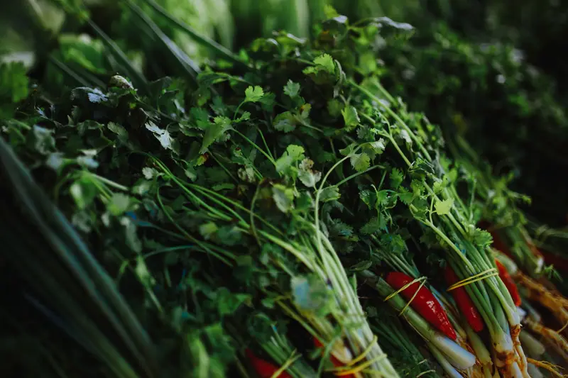 Herbs for export from India