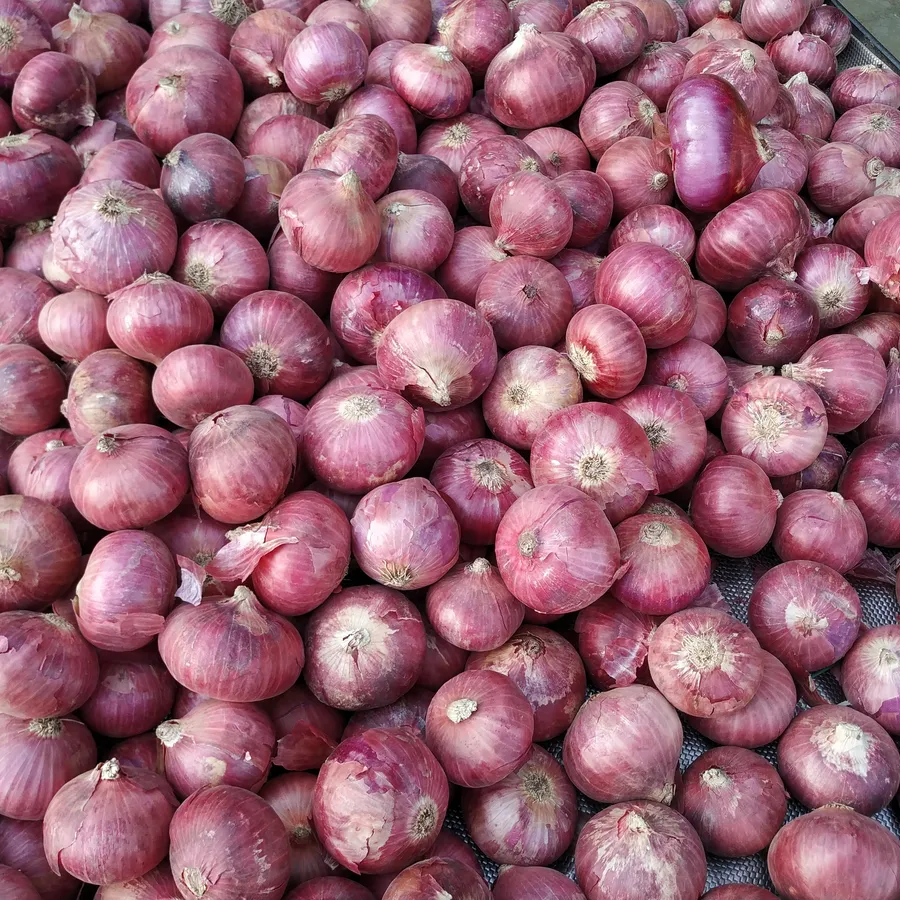 A heap of pink-red onions