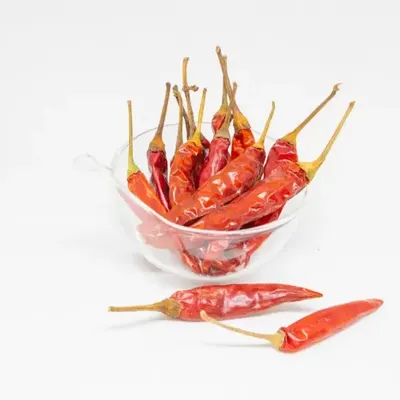 Guntur Chilli