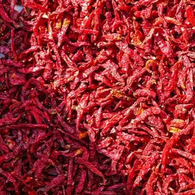 Teja Chilli
