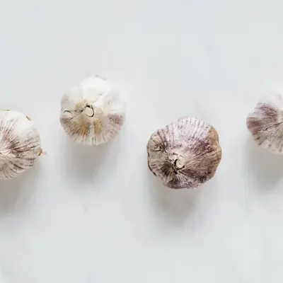 Garlic