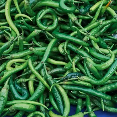 Green Chilli