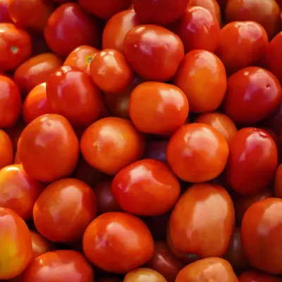 Tomato