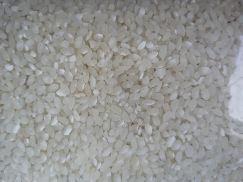 Close-up of white rice grains