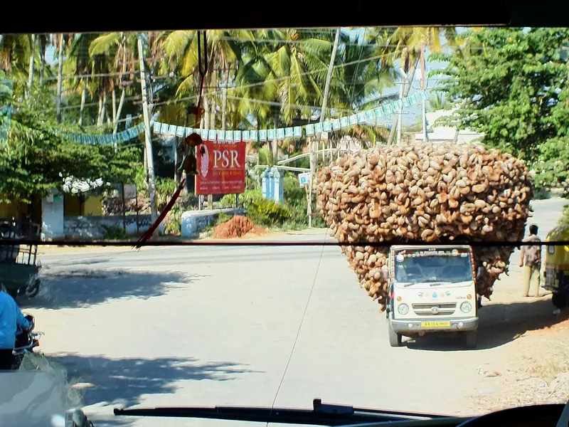 Truck loaded with semi-husked coconuts for bulk supply