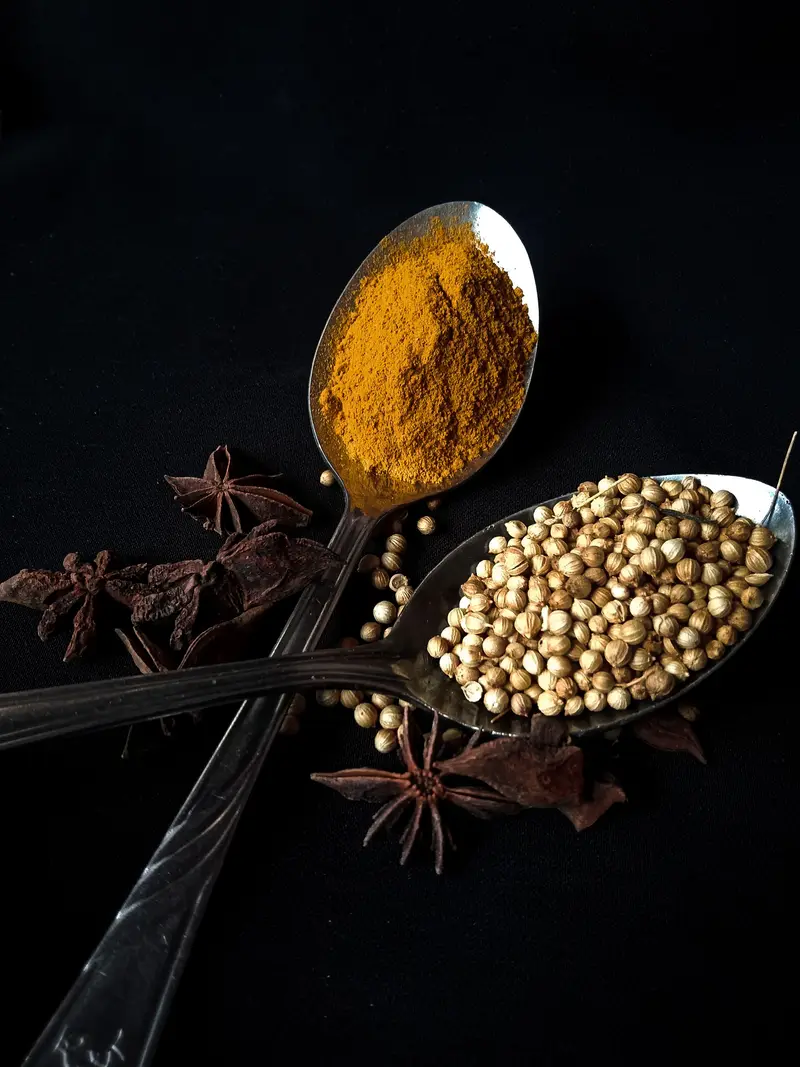 Coriander Powder for export from India