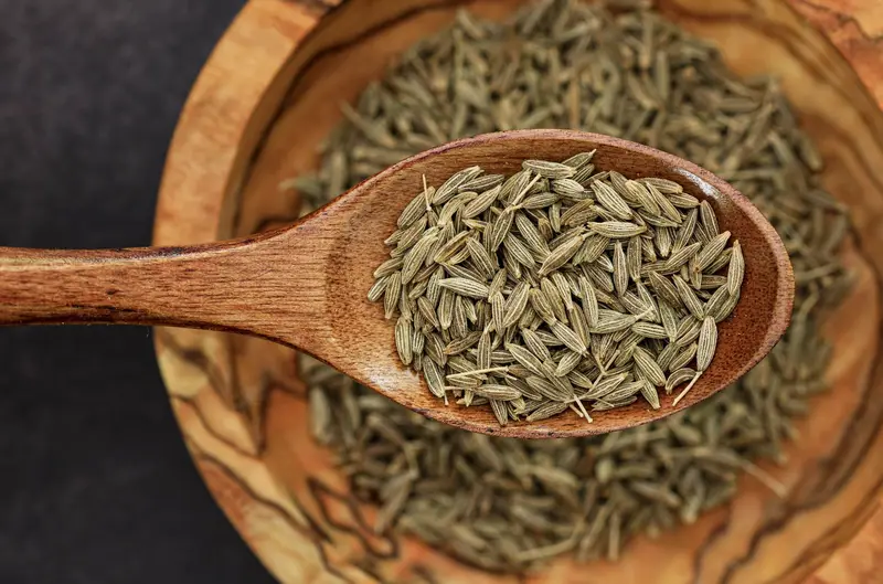 Cumin Seeds for export from India