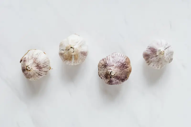 Garlic for export from India