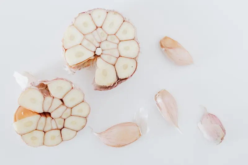 Garlic Powder for export from India