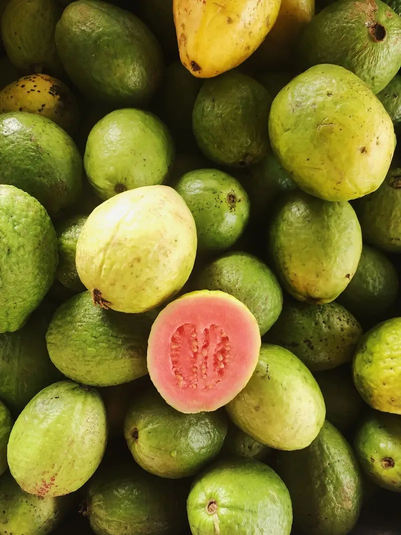 Guava for export from India