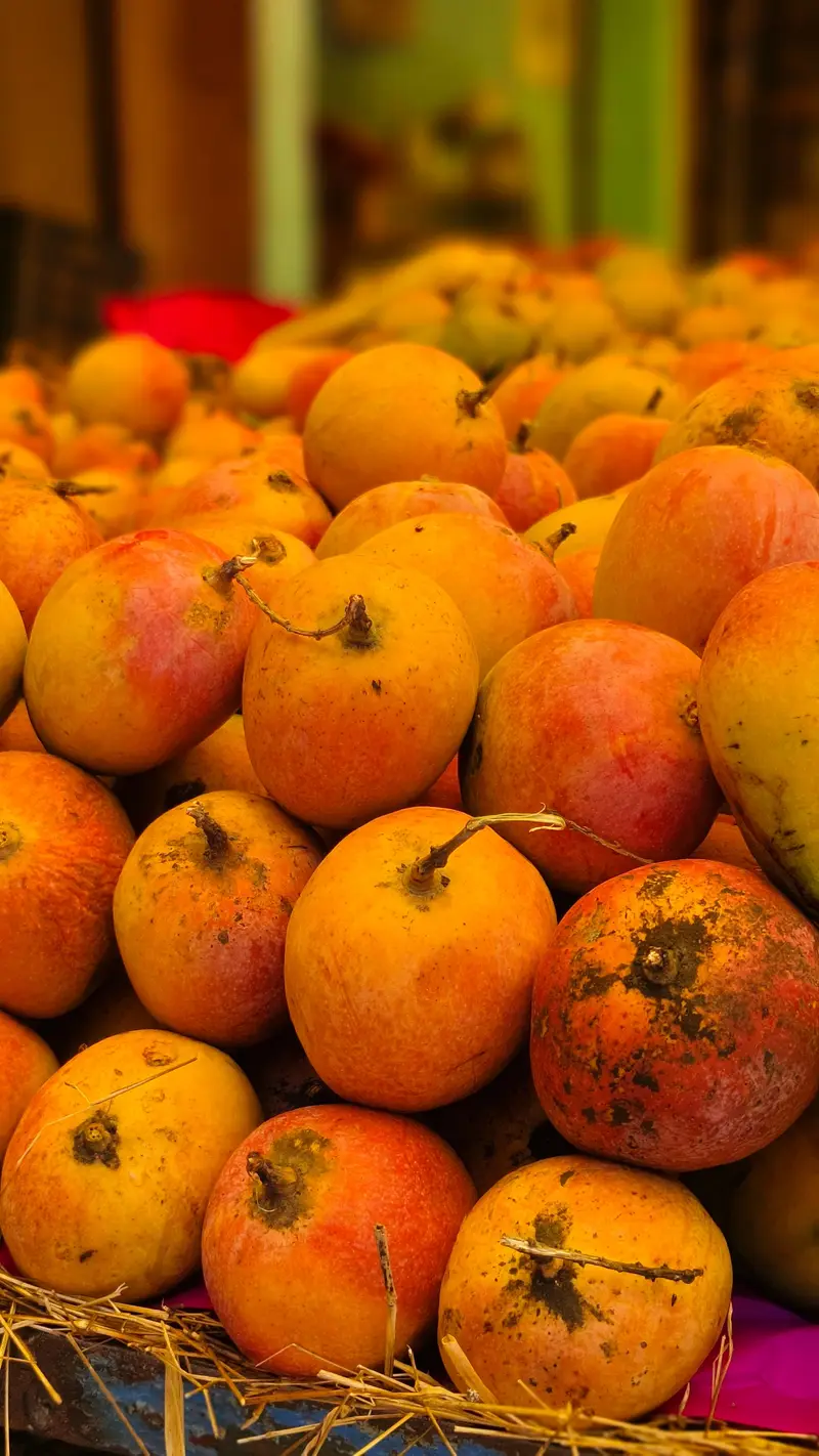 Kesar Mango for export from India