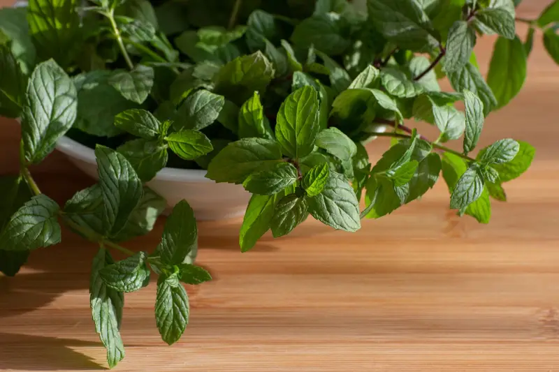 Mint for export from India