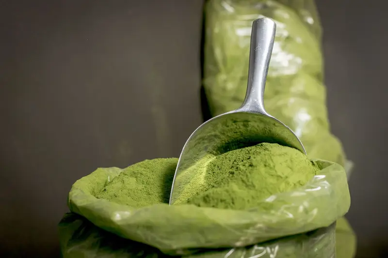 Moringa Powder for export from India