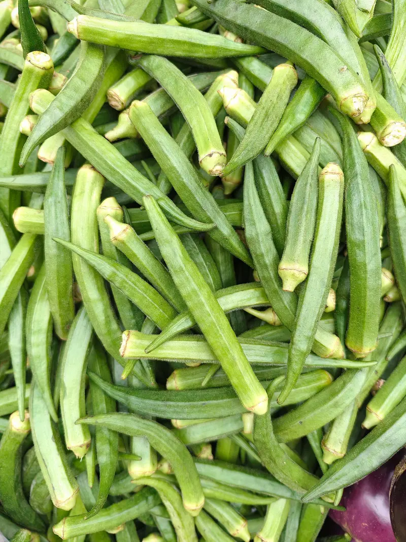 Okra for export from India