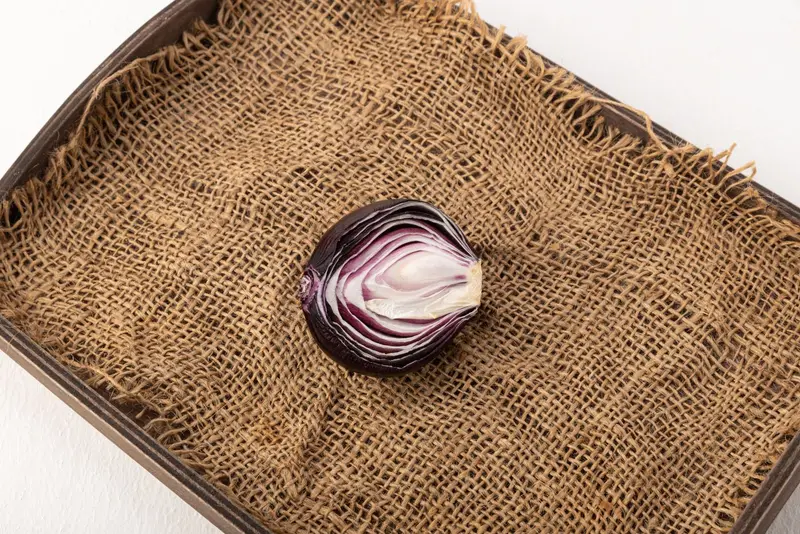Onion Powder for export from India