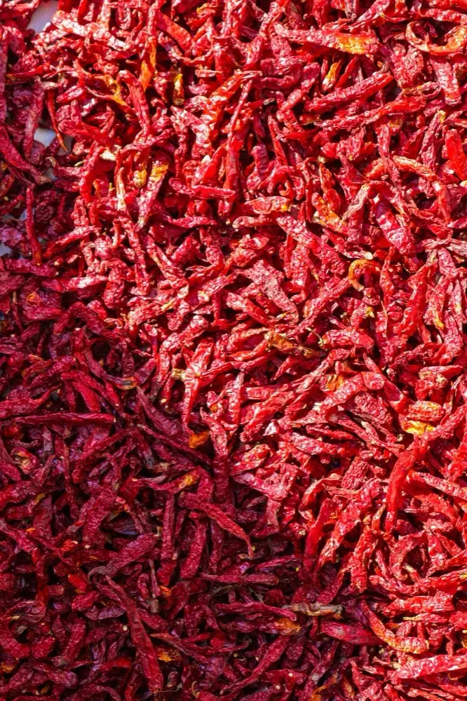 Red Chilli (Teja S17) for export from India