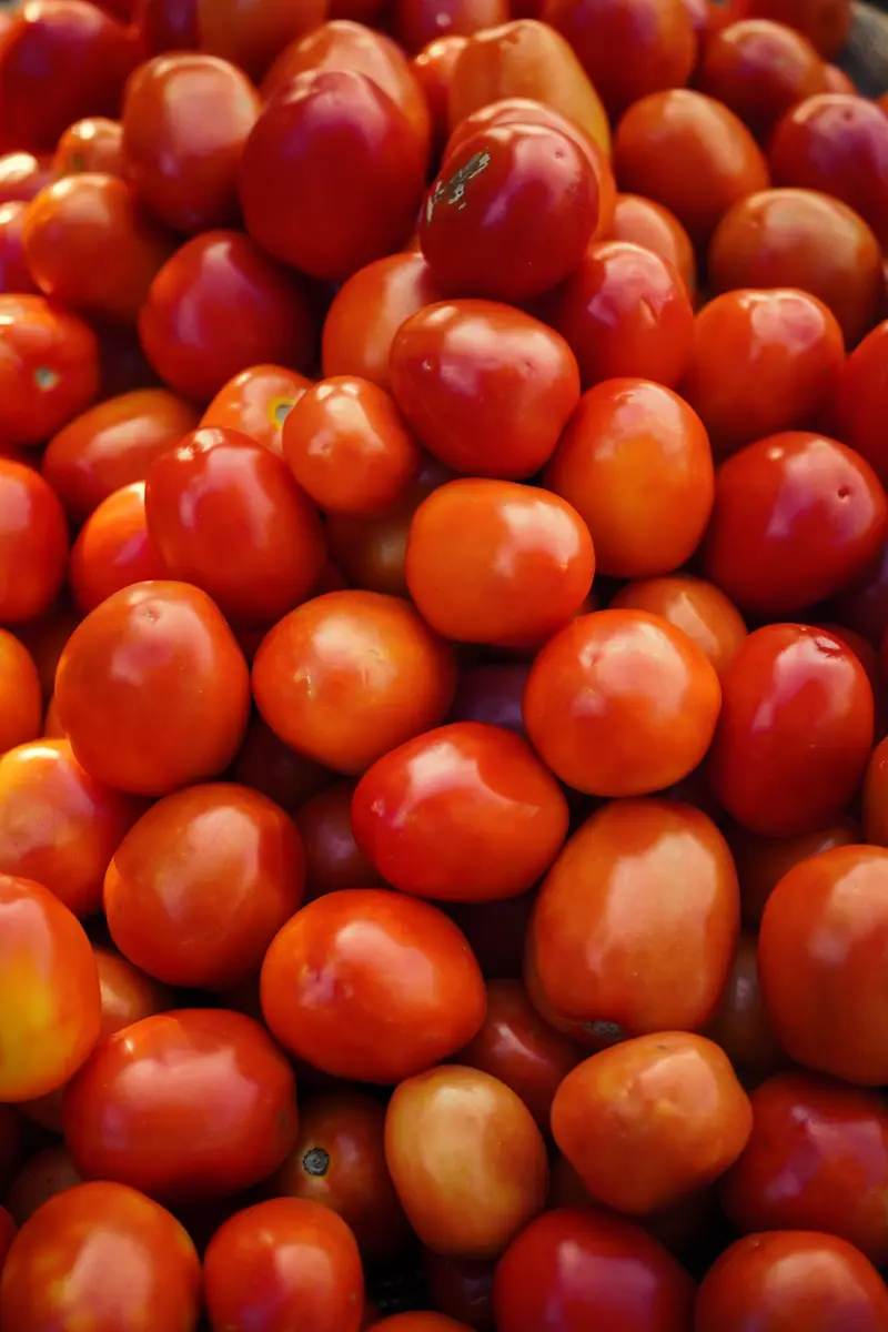 Tomato for export from India