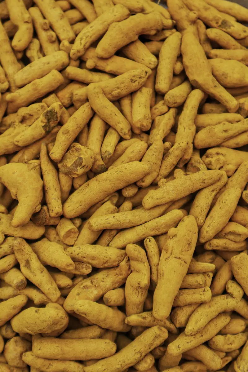 Turmeric for export from India